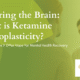 what is ketamine neuroplasticity
